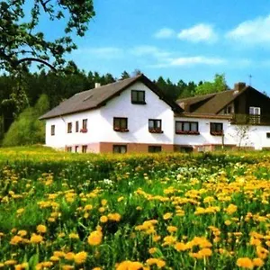 Hotel Gasthaus-pension Zum Brandweiher, Amorbach